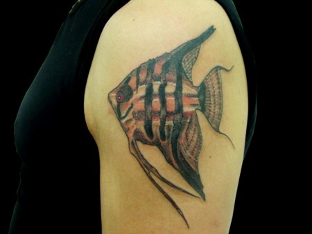 Tatuaje de un pez en el hombro