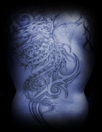 Tatuaje de un dragón unido a un tribal en la espalda