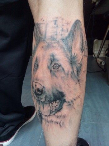 Tatuaje del retrato de un perro en el gemelo