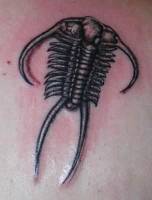 Tatuaje de un insecto