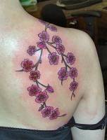 Tatuaje para mujeres, una rama con flores en el hombro