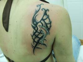 Tatuaje de un tribal con un delfín para una mujer