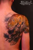 Tatuaje de tigre en el brazo y espalda.