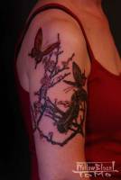Tatuaje para mujeres de mariposas con ramas de arbol