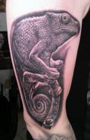 Tatuaje de un camaleón en blanco y negro