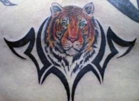 Tatuaje de un tigre rodeado por un tribal