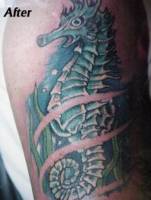 Tatuaje de un caballito de mar en el brazo