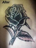 Tatuaje de una rosa en blanco y negro