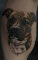 Tatuaje de un perro