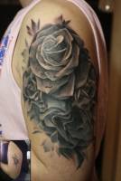 Tatuaje de rosas con rocio en el brazo