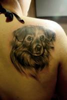 Tatuaje de la cabeza de un perrito