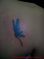 Tattoo de una libélula en color
