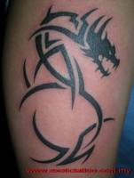 Tatuaje de un dragón en blanco y negro a base de tribales