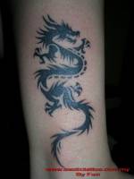 Tatuaje de una sombra de dragón