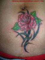 Tatuaje de una rosa y un tribal