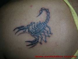 Tatuaje de un escorpión realista en el hombro