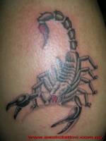 Tatuaje de un escorpión con la cola levantada