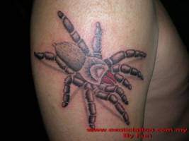Tattoo de una gran tarántula en el brazo