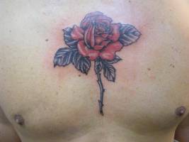 Tatuaje en color de una rosa en el pecho de un chico
