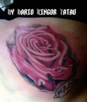 Tatuaje de una gran rosa con una firma