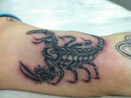 Tatuaje de un escorpión en blanco y negro