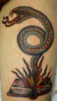 Tatuaje de una serpiente saliendo de un libro