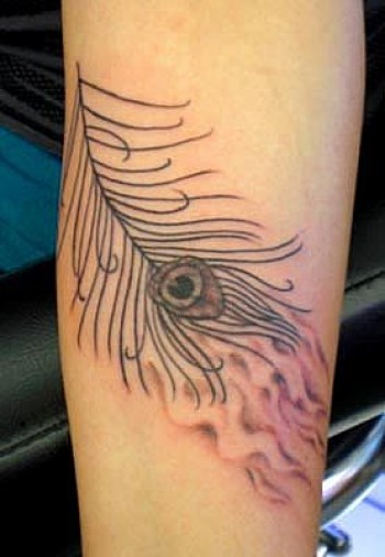 Tatuaje de pluma de pluma de pavo real 