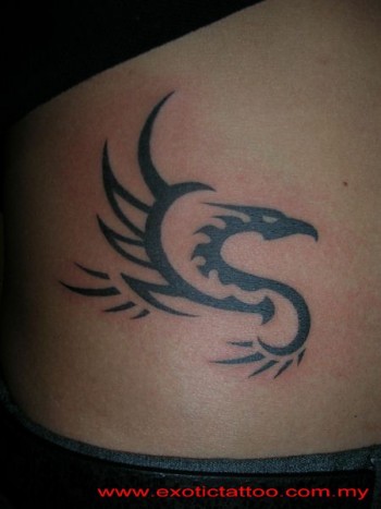 Tatuaje de una sombra de dragón volando - Tatuajes Pequeños