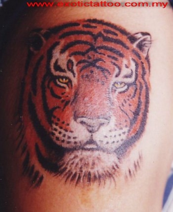 Tattoo a color de una cabeza de tigre