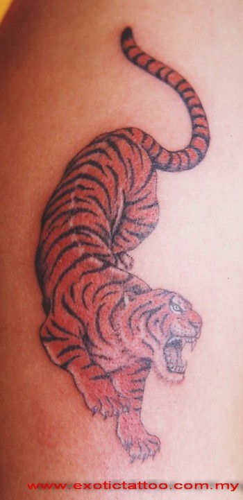 Tattoo de un tigre