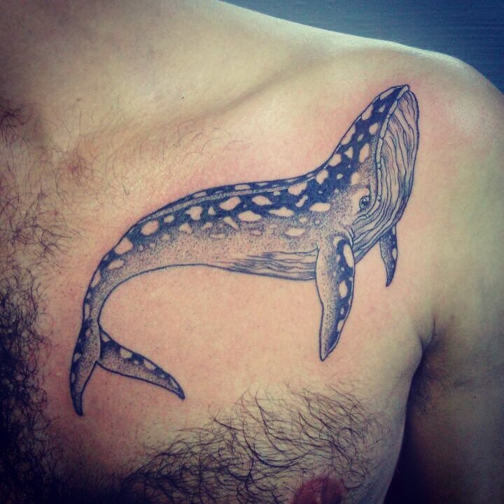 Tattoo de una ballena en el pecho de un hombre