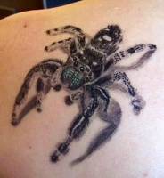 Tatuaje de una tarantula muy realista