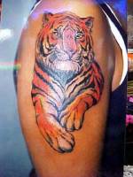 Tatuaje de tigre, muy realista, en el brazo