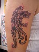 Tatuaje de una pantera subiendo por el brazo