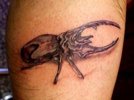 Tatuaje de un escarabajo