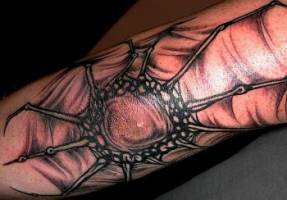 Tatuaje de una telaraña en el codo