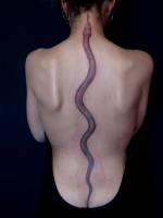 Tatuaje de una serpiente subiendo por la columna