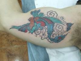 Tatuaje de un ave fénix en la parte interior del brazo