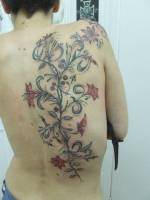 Tatuaje de una gran planta con flores en toda la espalda