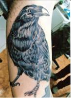 Tatuaje de un cuervo en el brazo