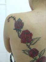 Tatuaje de unas rosas cruzando la espalda