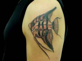 Tatuaje de un pez en el hombro