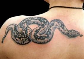 Tatuaje de una gran víbora en la espalda