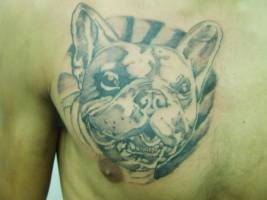 Tatuaje de una cabeza de perro en el pecho