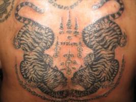 Tatuaje Sak Yant de dos tigres
