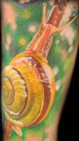 Tatuaje de un caracol