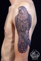 Tatuaje de un halcón en el brazo