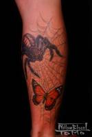 Tatuaje de una araña atrapando a una mariposa.