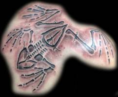Tatuaje de un fósil de rana