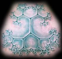 Tatuaje simulando células ampliadas